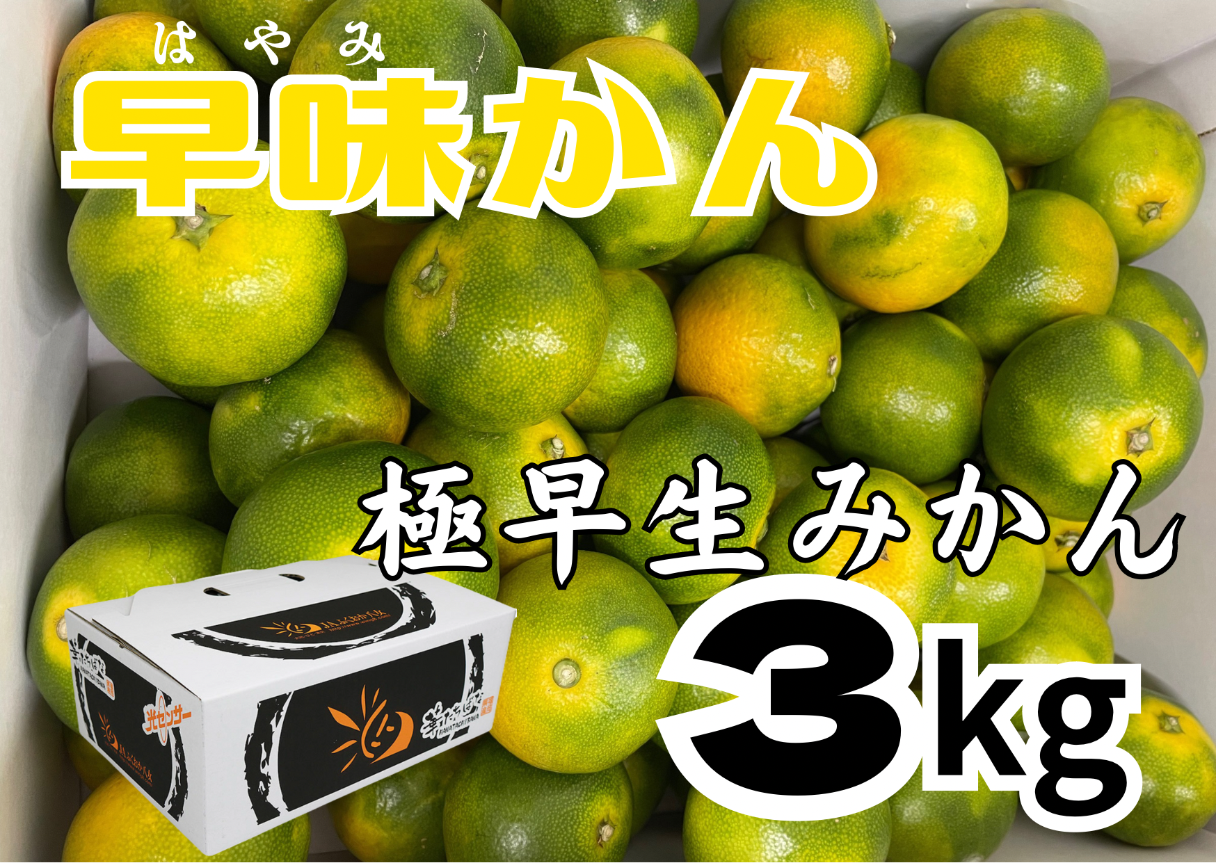 福岡県限定栽培!!極早生みかんの『早味かん』3kg【10月6日より発送】1